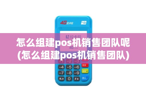 怎么组建pos机销售团队呢(怎么组建pos机销售团队)