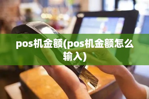 pos机金额(pos机金额怎么输入)
