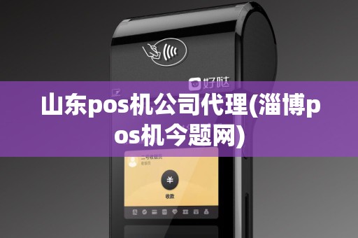 山东pos机公司代理(淄博pos机今题网)