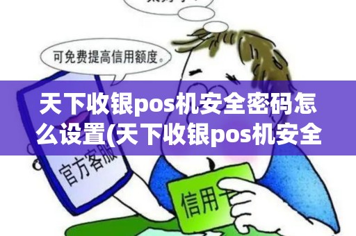 天下收银pos机安全密码怎么设置(天下收银pos机安全密码)
