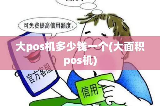 大pos机多少钱一个(大面积pos机)