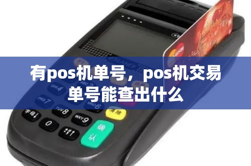 有pos机单号，pos机交易单号能查出什么