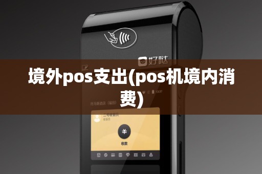 境外pos支出(pos机境内消费)