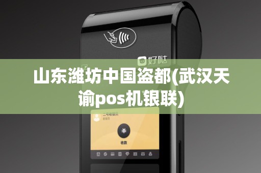 山东潍坊中国盗都(武汉天谕pos机银联)