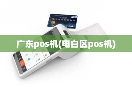 广东pos机(电白区pos机)