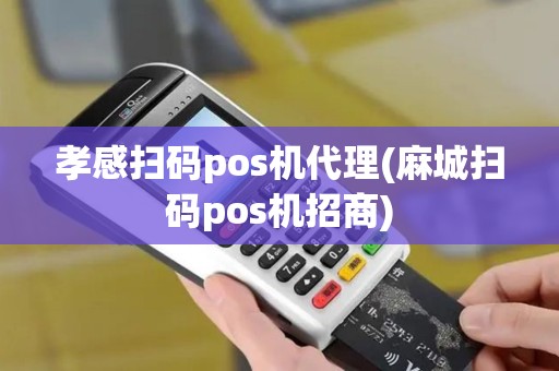 孝感扫码pos机代理(麻城扫码pos机招商)
