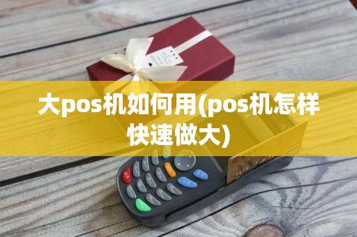 大pos机如何用(pos机怎样快速做大)