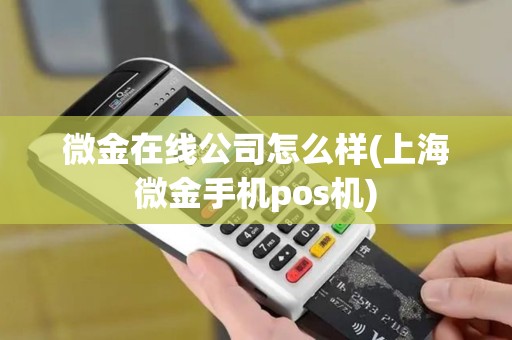 微金在线公司怎么样(上海微金手机pos机)