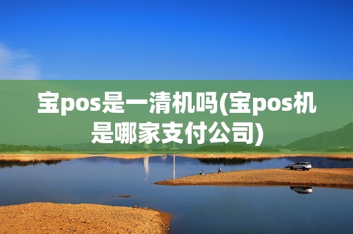 宝pos是一清机吗(宝pos机是哪家支付公司)