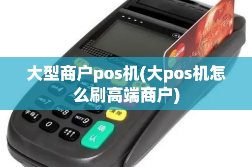 大型商户pos机(大pos机怎么刷高端商户)
