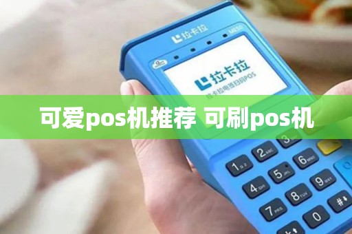 可爱pos机推荐 可刷pos机