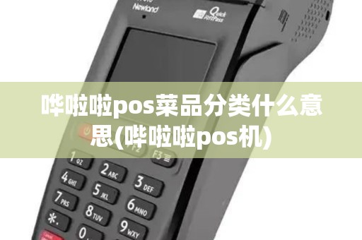 哗啦啦pos菜品分类什么意思(哔啦啦pos机)