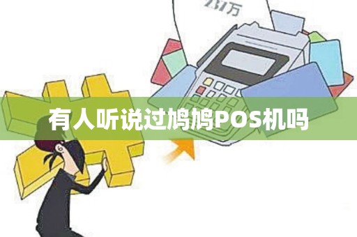 有人听说过鸠鸠POS机吗