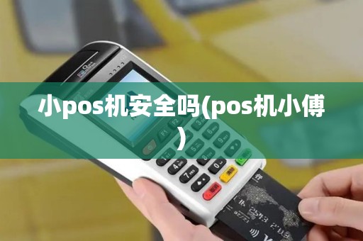 小pos机安全吗(pos机小傅)