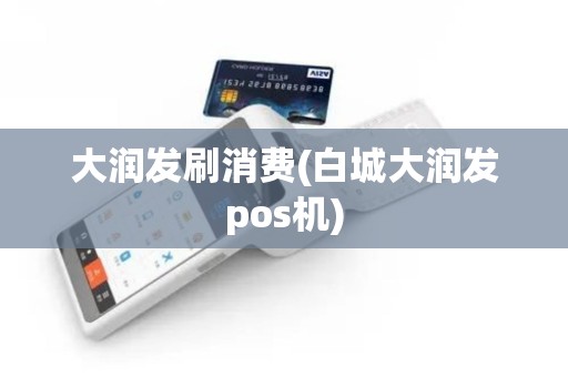 大润发刷消费(白城大润发pos机)