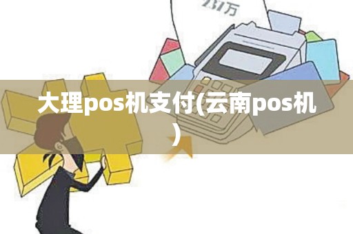 大理pos机支付(云南pos机)