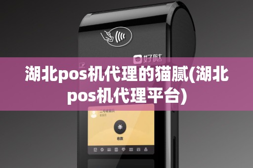 湖北pos机代理的猫腻(湖北pos机代理平台)