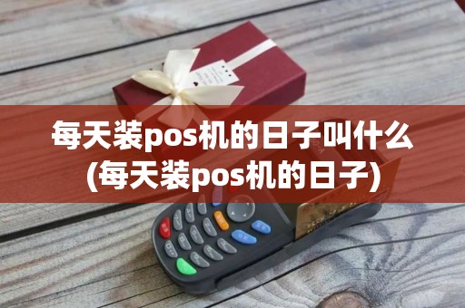 每天装pos机的日子叫什么(每天装pos机的日子)