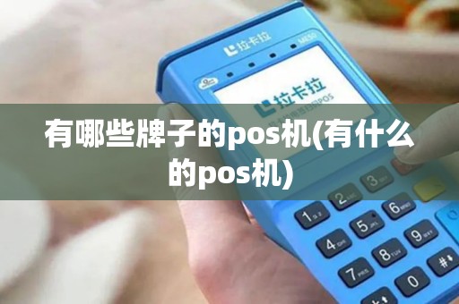 有哪些牌子的pos机(有什么的pos机)