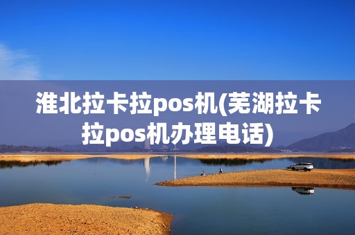 淮北拉卡拉pos机(芜湖拉卡拉pos机办理电话)