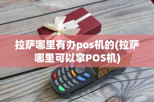 拉萨哪里有办pos机的(拉萨哪里可以拿POS机)