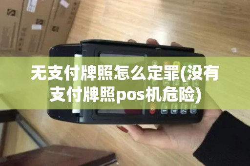 无支付牌照怎么定罪(没有支付牌照pos机危险)
