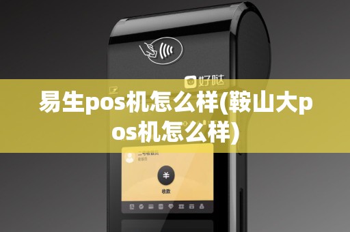 易生pos机怎么样(鞍山大pos机怎么样)