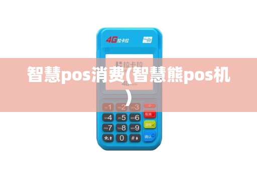 智慧pos消费(智慧熊pos机)