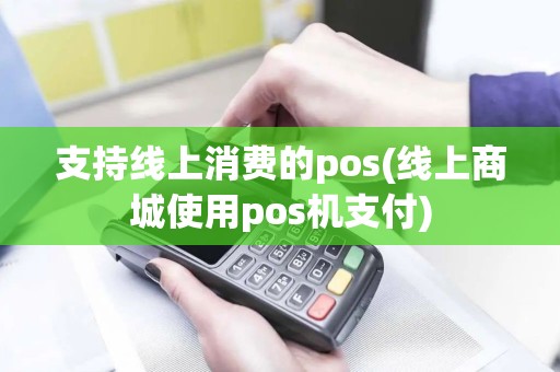 支持线上消费的pos(线上商城使用pos机支付)