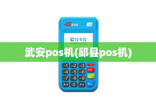 武安pos机(邱县pos机)