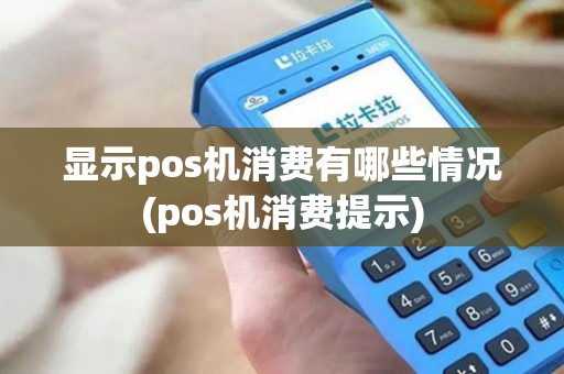 显示pos机消费有哪些情况(pos机消费提示)