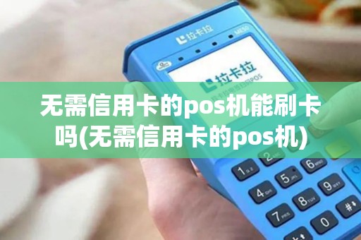 无需信用卡的pos机能刷卡吗(无需信用卡的pos机)