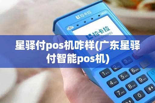 星驿付pos机咋样(广东星驿付智能pos机)