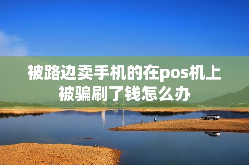 被路边卖手机的在pos机上被骗刷了钱怎么办