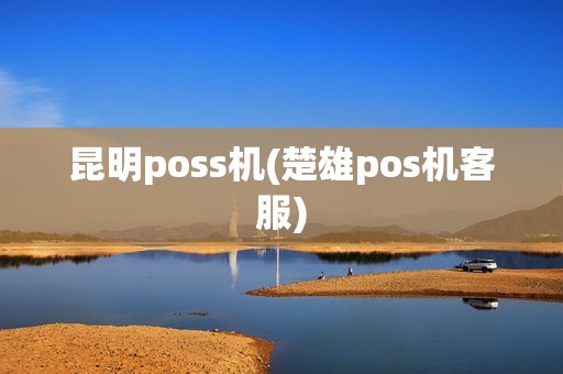 昆明poss机(楚雄pos机客服)
