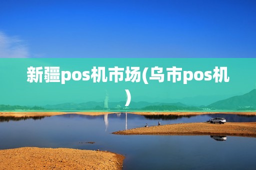 新疆pos机市场(乌市pos机)