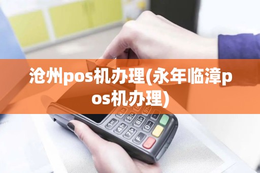 沧州pos机办理(永年临漳pos机办理)