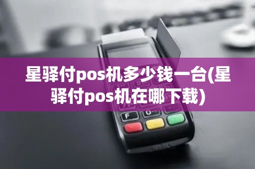 星驿付pos机多少钱一台(星驿付pos机在哪下载)
