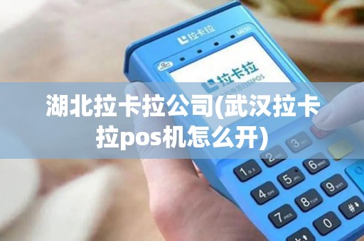 湖北拉卡拉公司(武汉拉卡拉pos机怎么开)