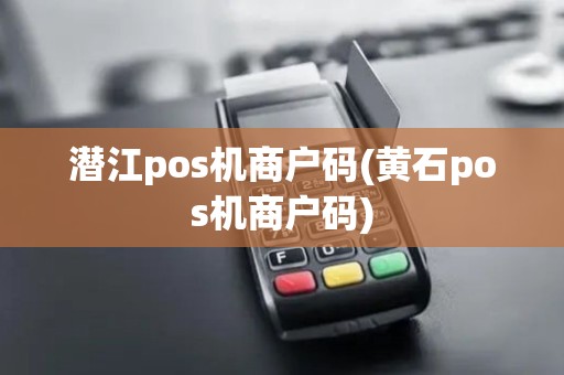 潜江pos机商户码(黄石pos机商户码)