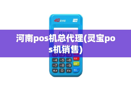 河南pos机总代理(灵宝pos机销售)