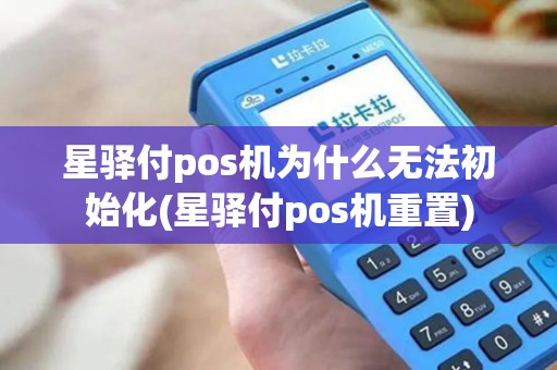 星驿付pos机为什么无法初始化(星驿付pos机重置)
