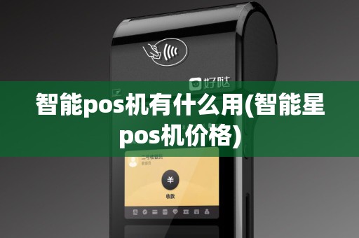 智能pos机有什么用(智能星pos机价格)