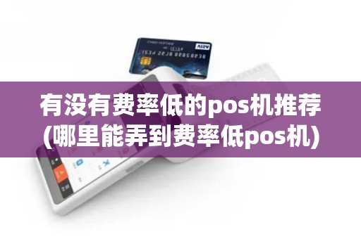 有没有费率低的pos机推荐(哪里能弄到费率低pos机)