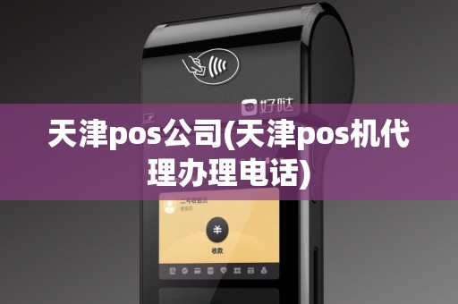 天津pos公司(天津pos机代理办理电话)