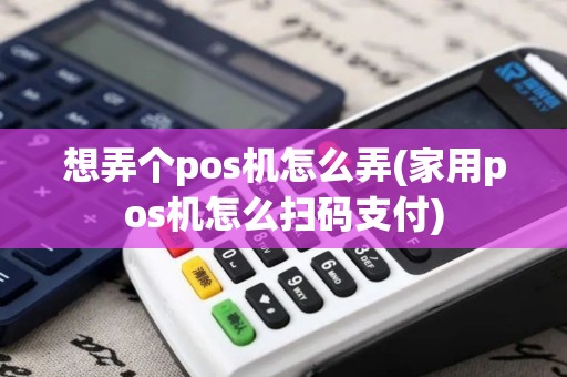 想弄个pos机怎么弄(家用pos机怎么扫码支付)