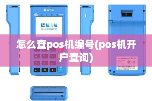 怎么查pos机编号(pos机开户查询)