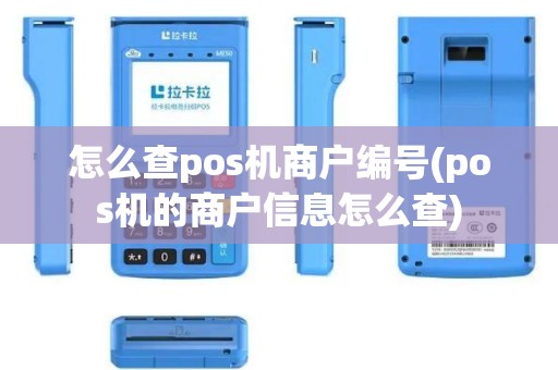 怎么查pos机商户编号(pos机的商户信息怎么查)