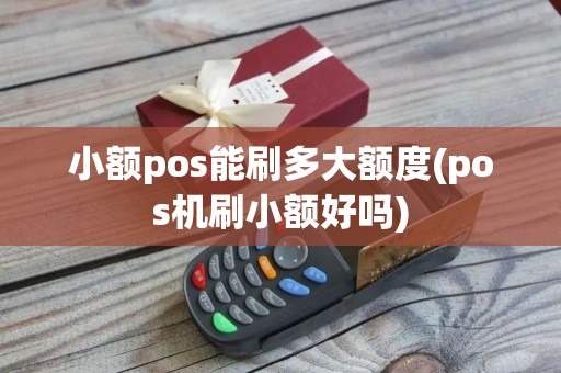 小额pos能刷多大额度(pos机刷小额好吗)