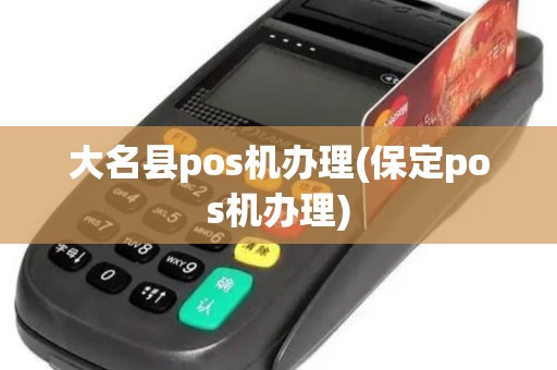大名县pos机办理(保定pos机办理)